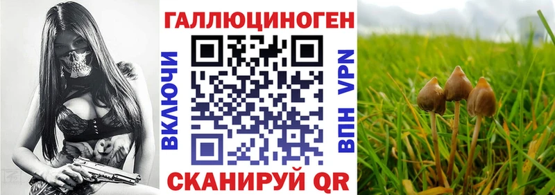 цены наркотик  Лысково  blacksprut ССЫЛКА  Псилоцибиновые грибы Magic Shrooms 